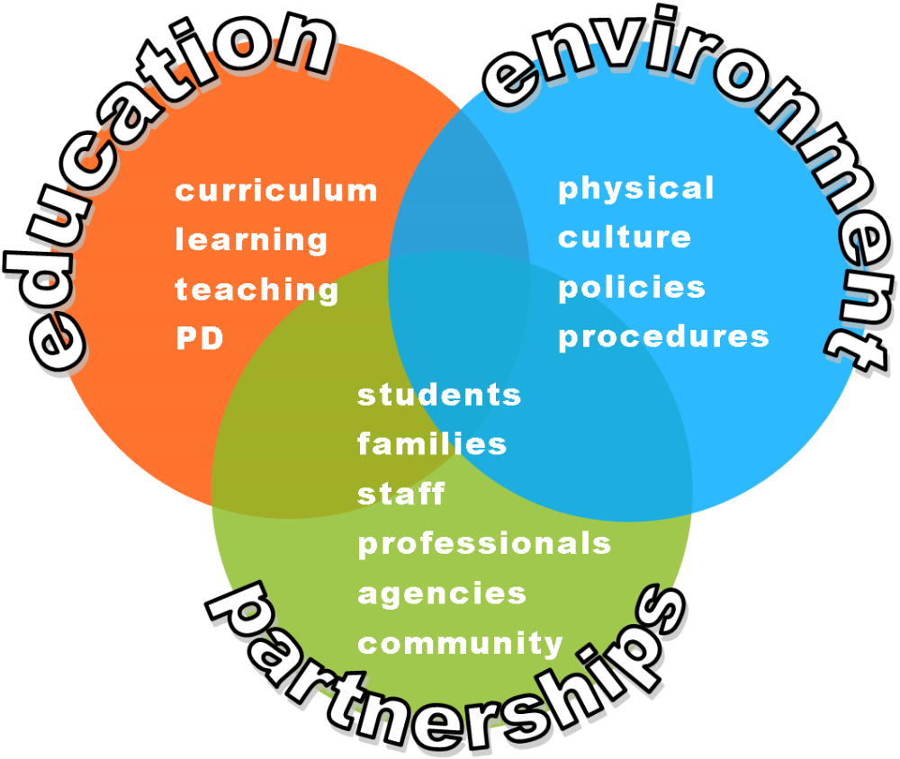 Health promoting school